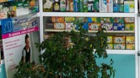 Мизерия. Масово купуват лекарства на вересия