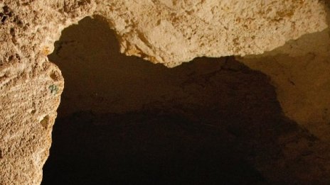 Археолози откриха пещерни рисунки на 25 хил. години