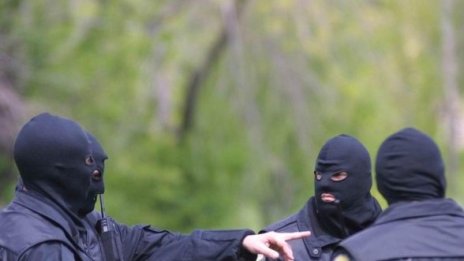 Ченгета нахлуха при планинските животни