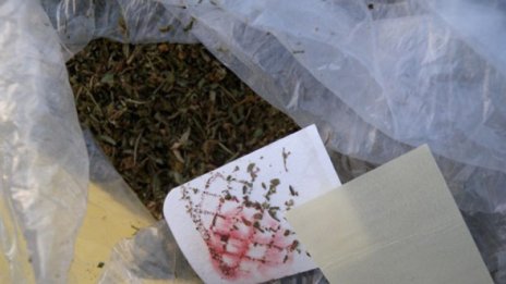 Закопчаха четирима с наркотици в Смолян