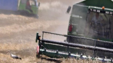 Зърненият баланс е вързан, твърди Мирослав Найденов