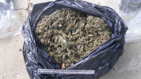 Разбиха стройна лаборатория с 6 кила марихуана