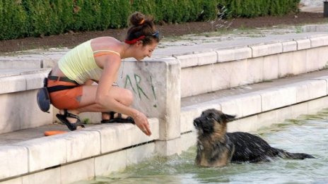 Нова гореща вълнà в страната. Код "жълто" в 13 области