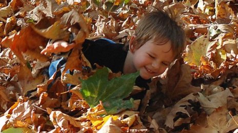 Октомври се разнежи. Топъл, с дни до 29˚