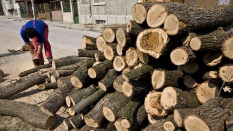 Грък брои ?1300 за български дърва за огрев. Така и не ги получи