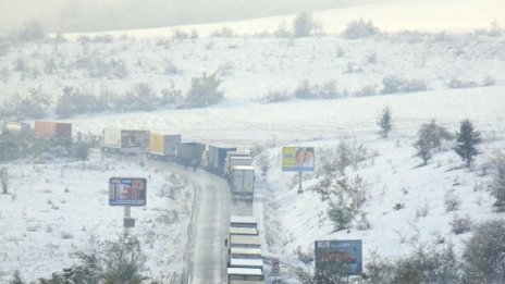 Листа зелени, пък сняг вали, диви се Павлова 