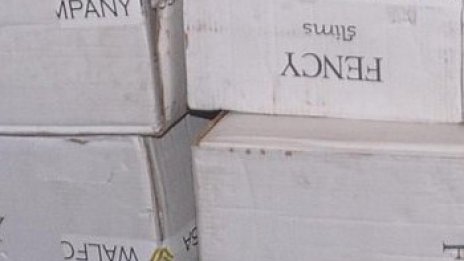 Разкриха "дистрибуторски" центрове за контрабанда до Женския пазар