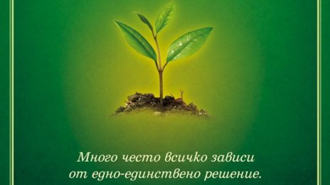 Разклоненията на един царевичен лабиринт 