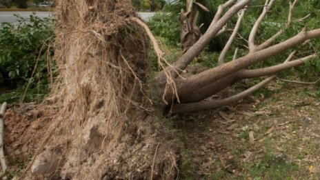 Тропическа буря в Оман уби 9 души