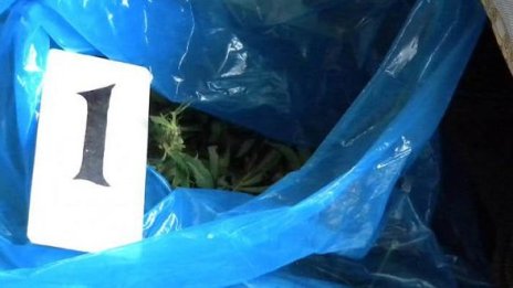 Дилър на дрога и клиентът му задържани в Благоевградско