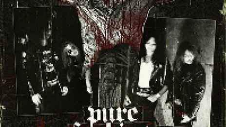 Pure Fucking Mayhem!