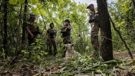 Германия засилва подкрепата: финансира дронове STRILA за Украйна