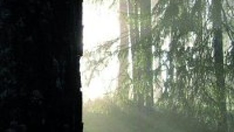 Хвърли едно ухо на новия Burzum 