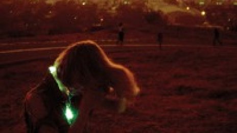 Neon Indian с втори тийзър към Era Extrana