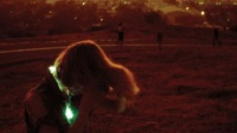 Слушай Polish Girl на Neon Indian