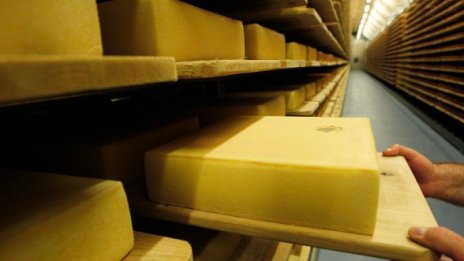 22 тона развален кашкавал конфискува агенцията по храните