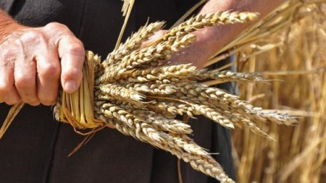 Догодина ни чака зърнена криза заради сухия ноември 