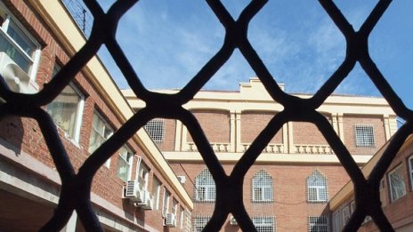 Година и половина затвор за елха от марихуана 