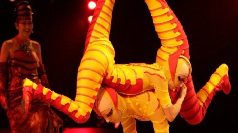 Спектакълът на живота в изпълнение на Circus de soleil