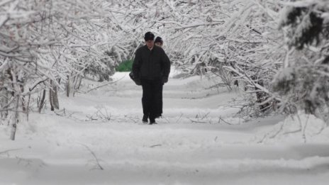 50 се потрошиха на леда в София