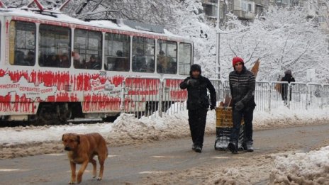 Столичният градски транспорт закъса в снега
