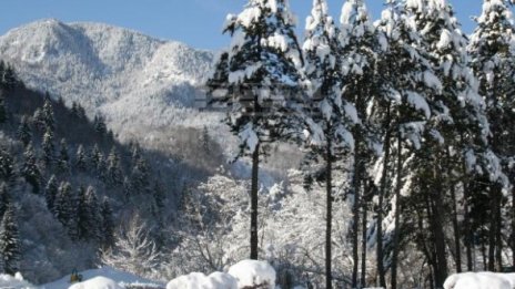 Спасиха самотен пенсионер от снежен плен