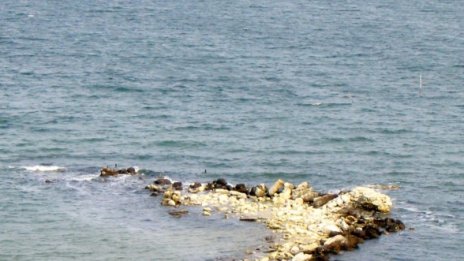 Румъния готова да стигне до Хага заради спорната зона