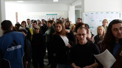 Близо 600 млн. лв. декларирани от хонорари и наеми 