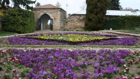 Пак напрежение в ботаническата градина в Балчик