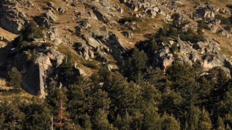 50-годишен турист загина на излет в Троянския балкан