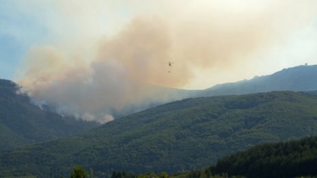 Държавата се изправи мъжествено срещу огъня, но по бели гащи 