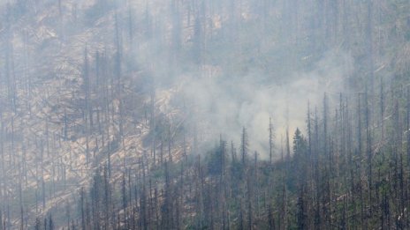 100 декара борова гора горят край Арбанаси
