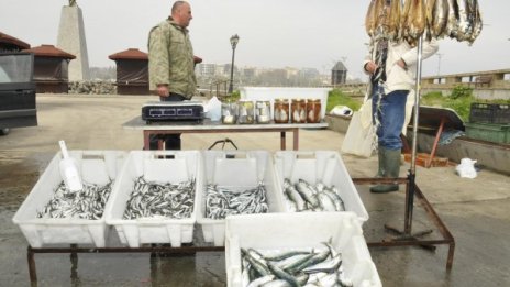 Забраняват продажбата на риба без документ за произход 