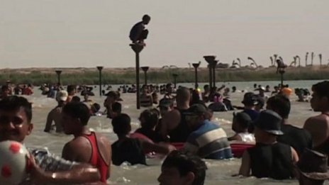 Оазис на спокойствието сред бомби и престрелки