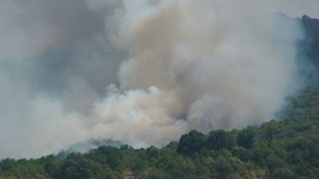 Пожарът в Брягово обхвана над 500 дка широколистна гора
