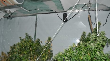 Дядо с апаратура за гледане за марихуана