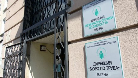 Над 3000 младежи кандидатстват за работа в администрацията