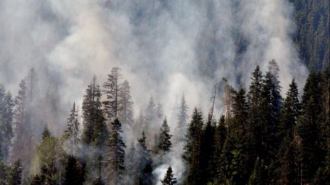 1500 декара горят в Рила