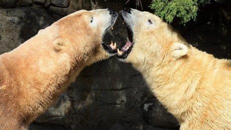 Денят в снимки