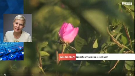 Защо българското розово масло губи позиции на световните пазари?