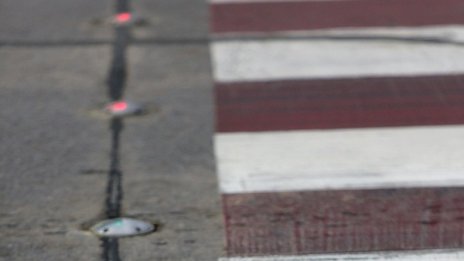 Първа "светеща" зебра зарадва софиянци