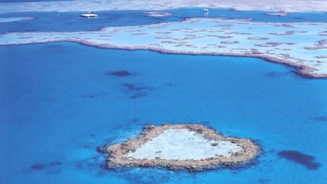 Мезонет на края на света 