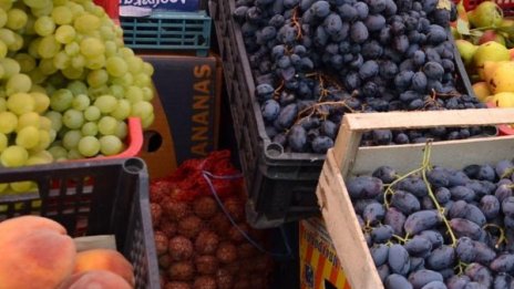 Светът предпочита биопродукти, у нас 95 на сто от тях се изнасят