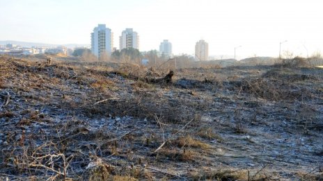Прокуратурата образува две преписки по "Дюнигейт"