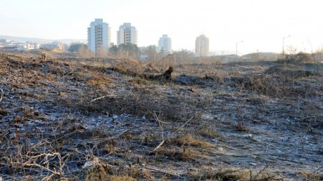 "Мълчете", скочиха от ГЕРБ. "Добре, крадете си спокойно", отговори Миков 