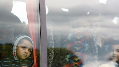  Румънците и българите забавят стареенето на Острова
