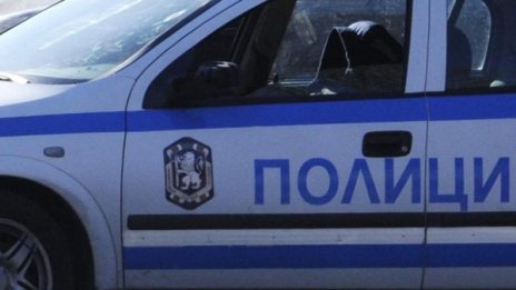 Иззеха стоки менте в Петрич