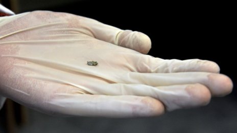 Официално не е потвърдено, че метеорит е паднал в Русия