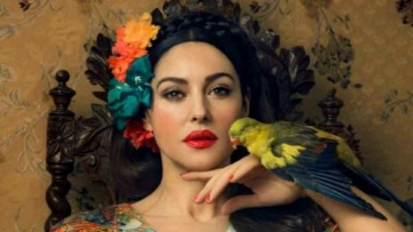 Моника Белучи &ndash; природна стихия от плът и кръв 