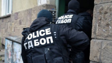 245 престъпни групи смазали антимафиотите през 2012 г. 